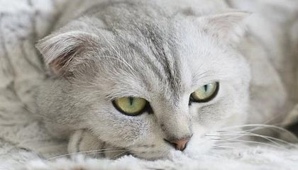 江山上海医保套现联系方式的最新政策(2025年江山上海医保套现论坛分享)