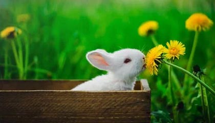 江山高价上海医保提取2025的最新政策(2025年江山上海医保怎么提取现金分享)